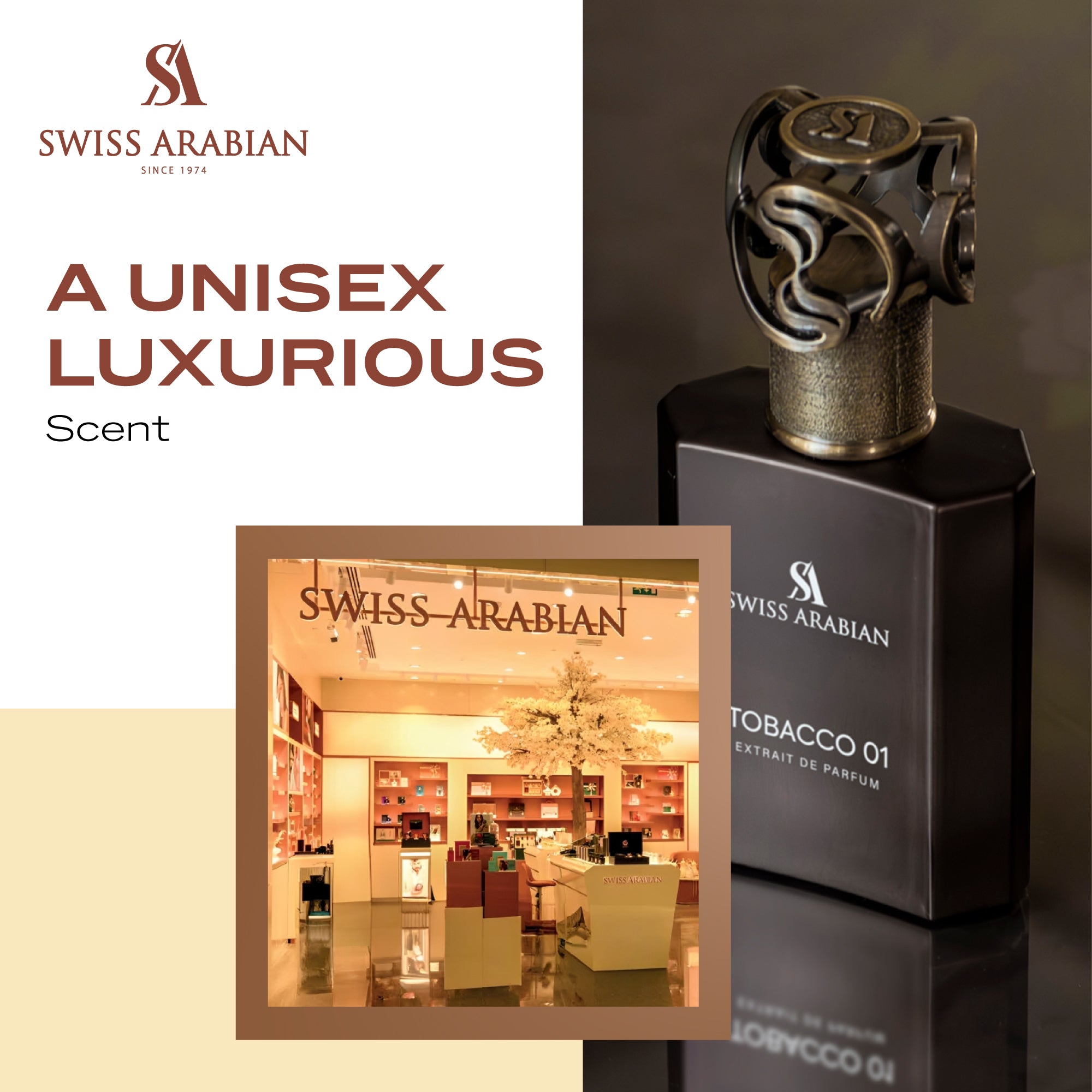 tobacco perfume price in pakistan Spanish 100ML IBRAQ Janan Tobacco opens with a captivating burst of bergamot and tobacco PABLO TOBACCO